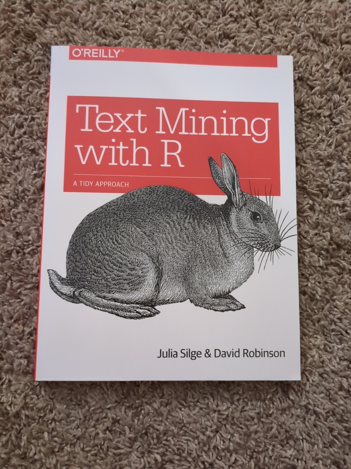 Text Mining with R : A Tidy Approach by David Robinson and Julia Silge (2017,…