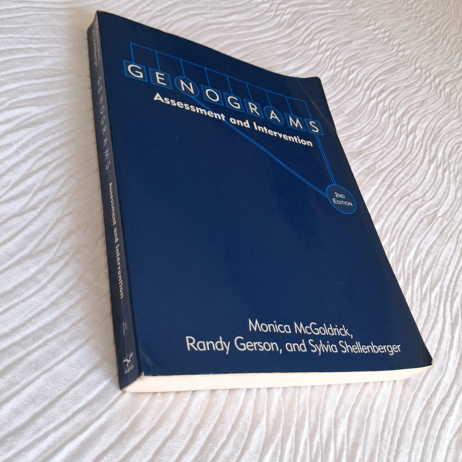 Genograms Assessment And Intervention Monica McGoldrick W W Norton Blue PB 1999