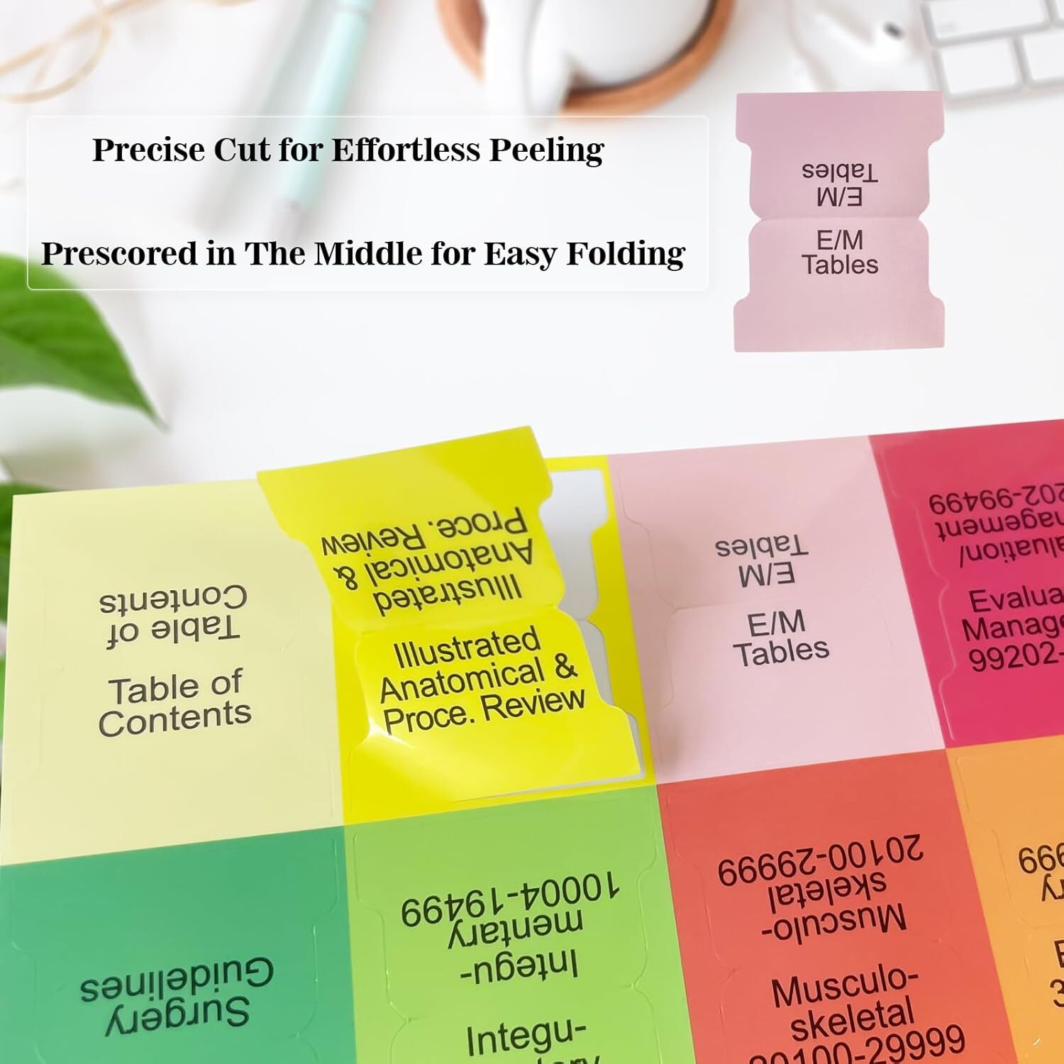 Upgraded Index Tabs for CPT 2025 Professional Edition, Complete CPT Book Tabs,