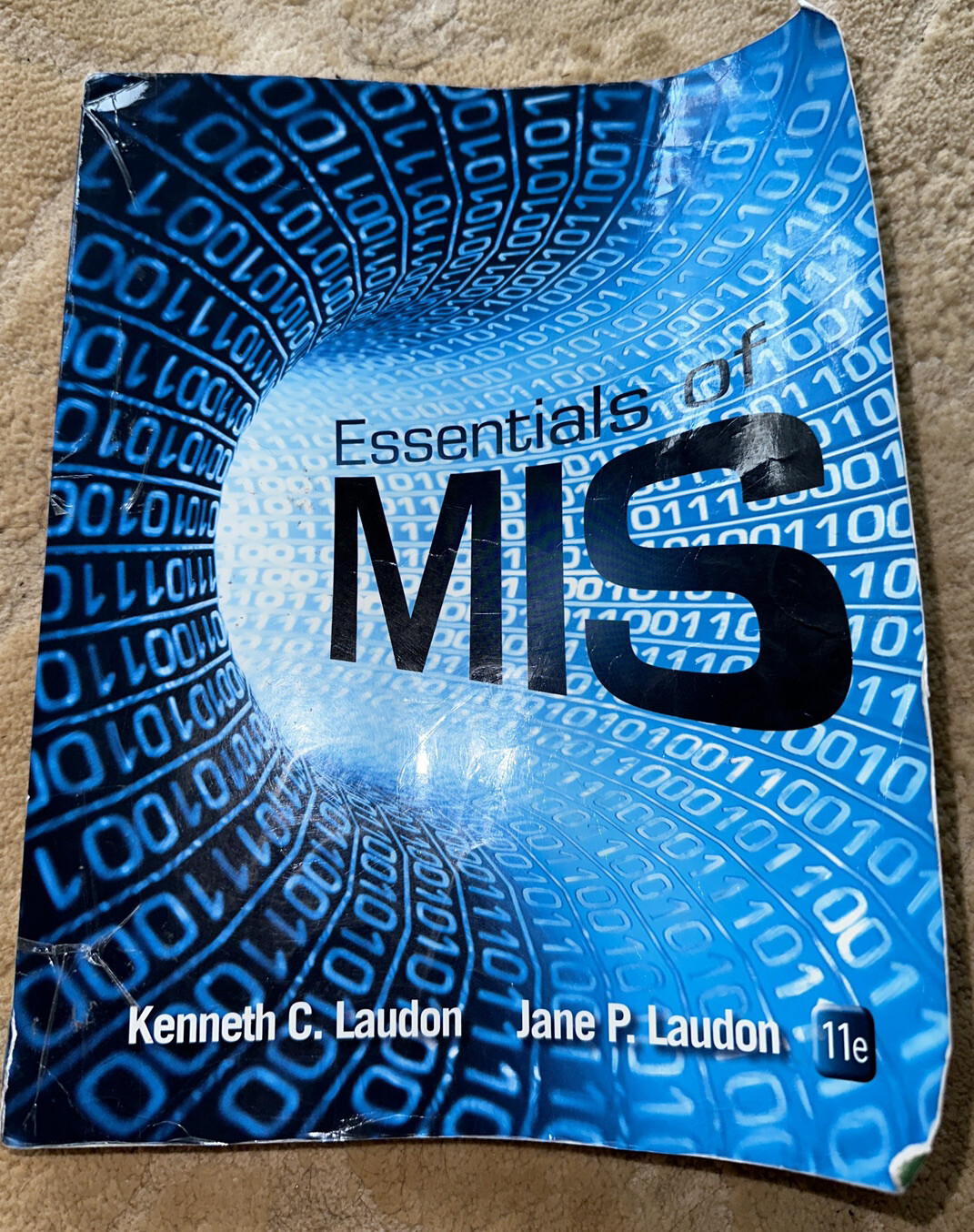 Essentials of MIS (11th Edition)