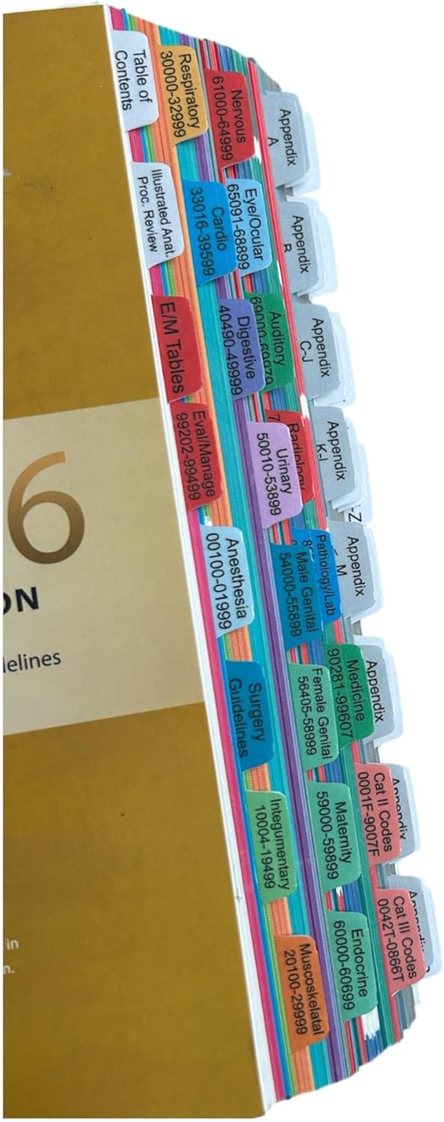 Laminated Book Tabs for CPT 2026 Professional Edition | Fully Laminated