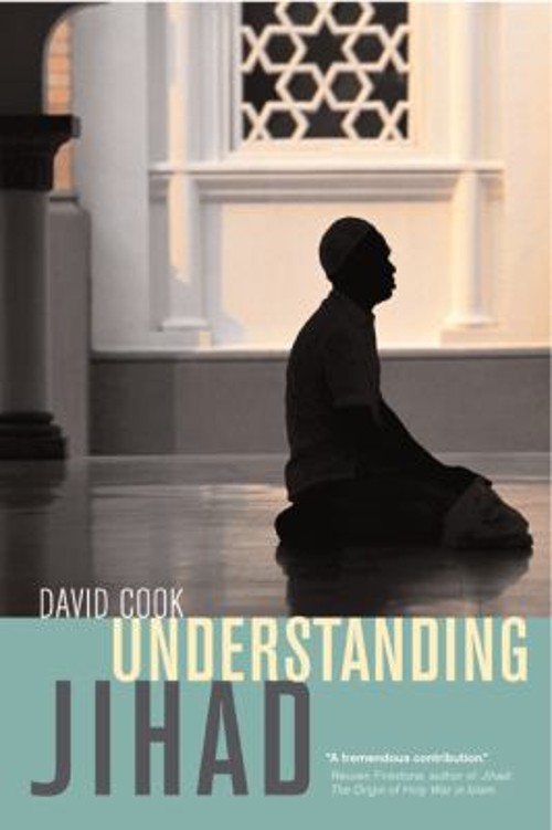 Understanding Jihad Paperback David Cook