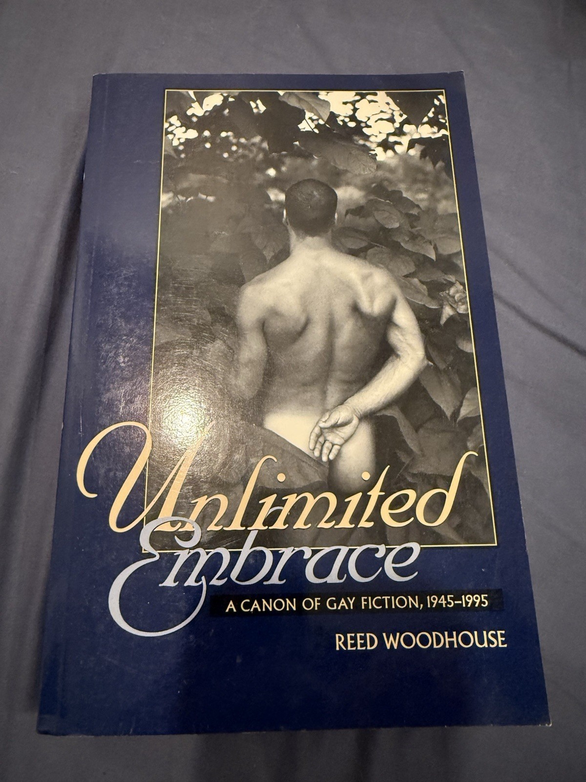 Unlimited Embrace : A Canon of Gay Fiction, 1945-1995 by Charlotte Sheedy (2000,