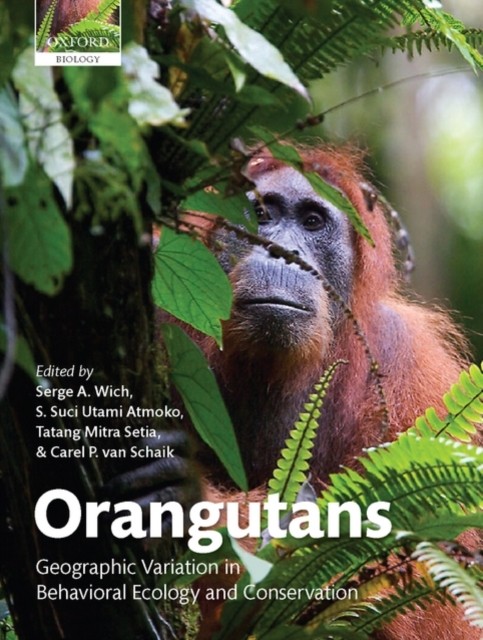 AL – ORANGUTANS C – New hardback or cased book – X555z
