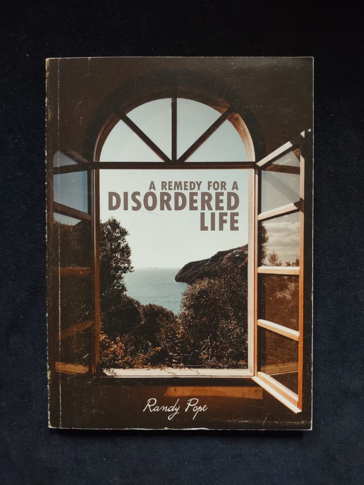 Remedy For A Disordered Life Softcover Book Randy Pope Bible God Based Self Help