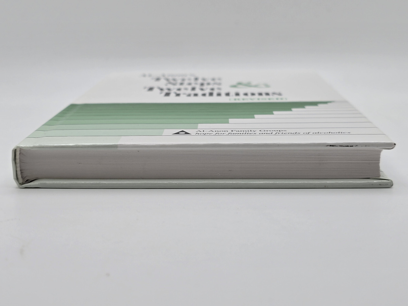 Al-Anon’s Twelve Steps & Twelve Traditions – Revised by Al-Anon Family Group