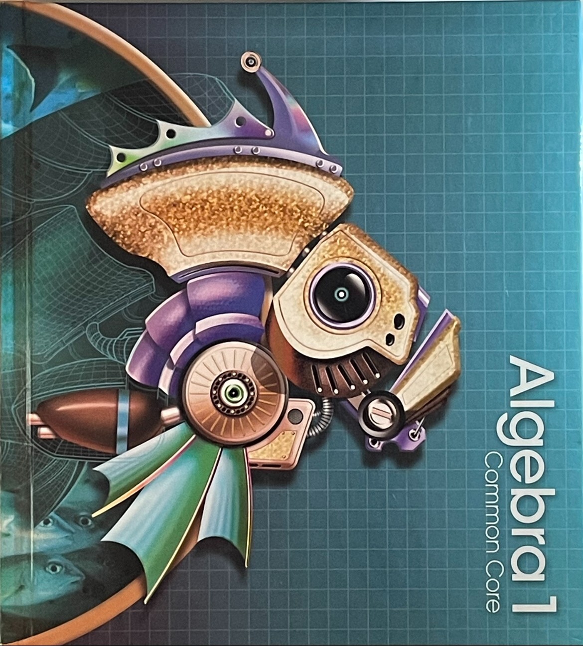 Pearson Algebra 1 Common Core Student Edition ISBN-13: 978-0-13-328114-9