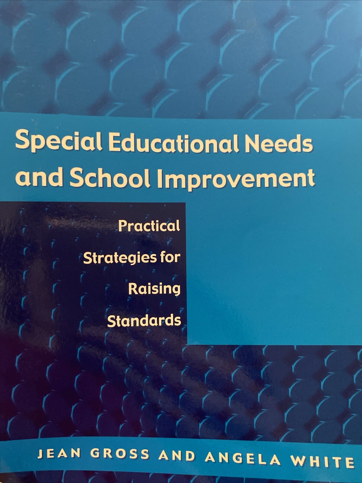 Special Educational Needs And School Improvement