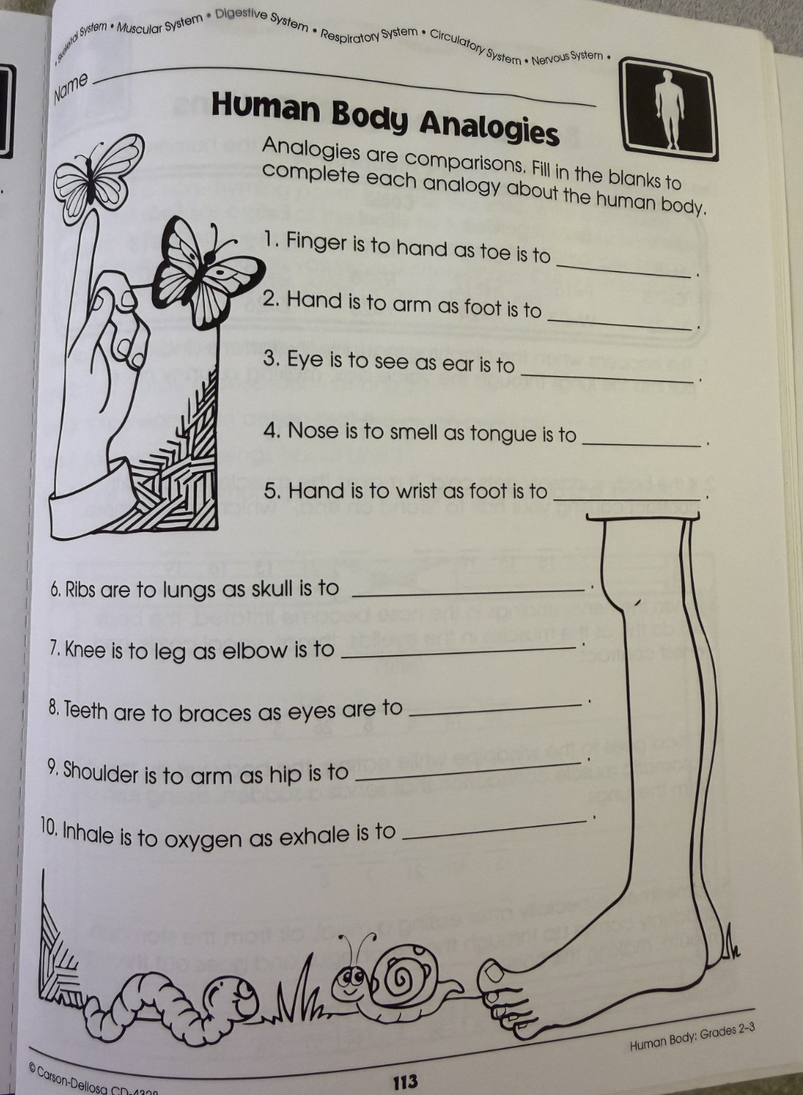 Human Body Teacher Resource, Grade 2-6, Hands-on Activities, Homeschool Science