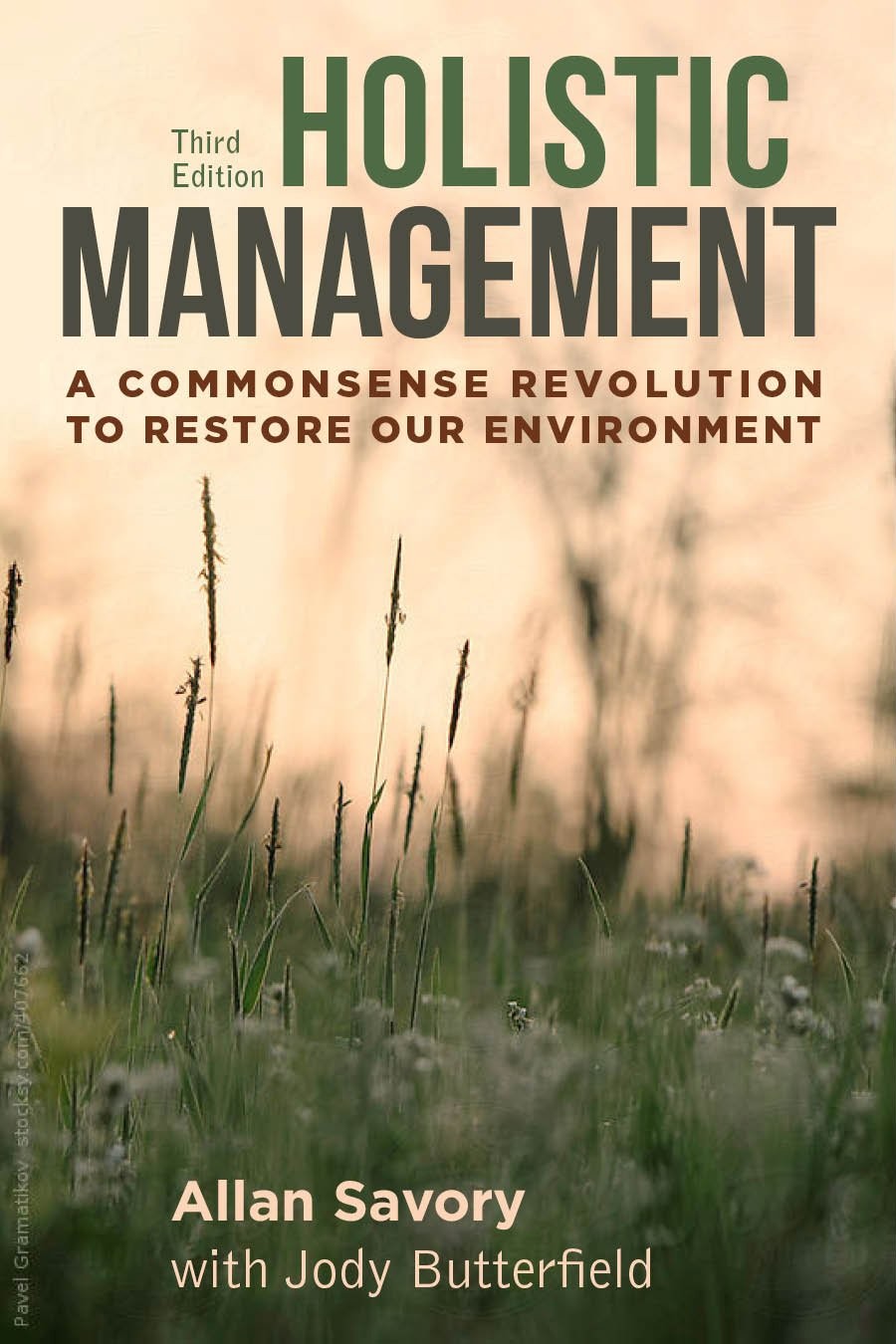 Holistic Management, Third Edition by Allan Savory
