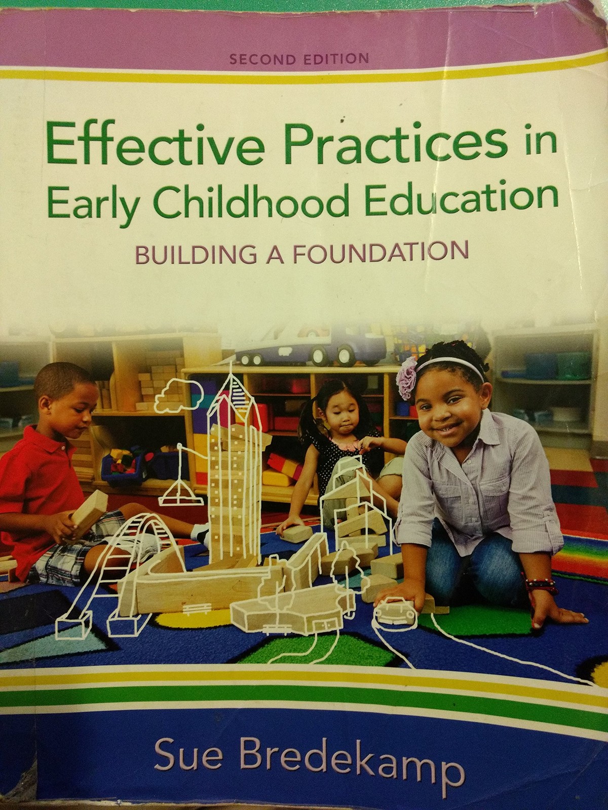 Effective Practices in Early Childhood Education: Building a F…