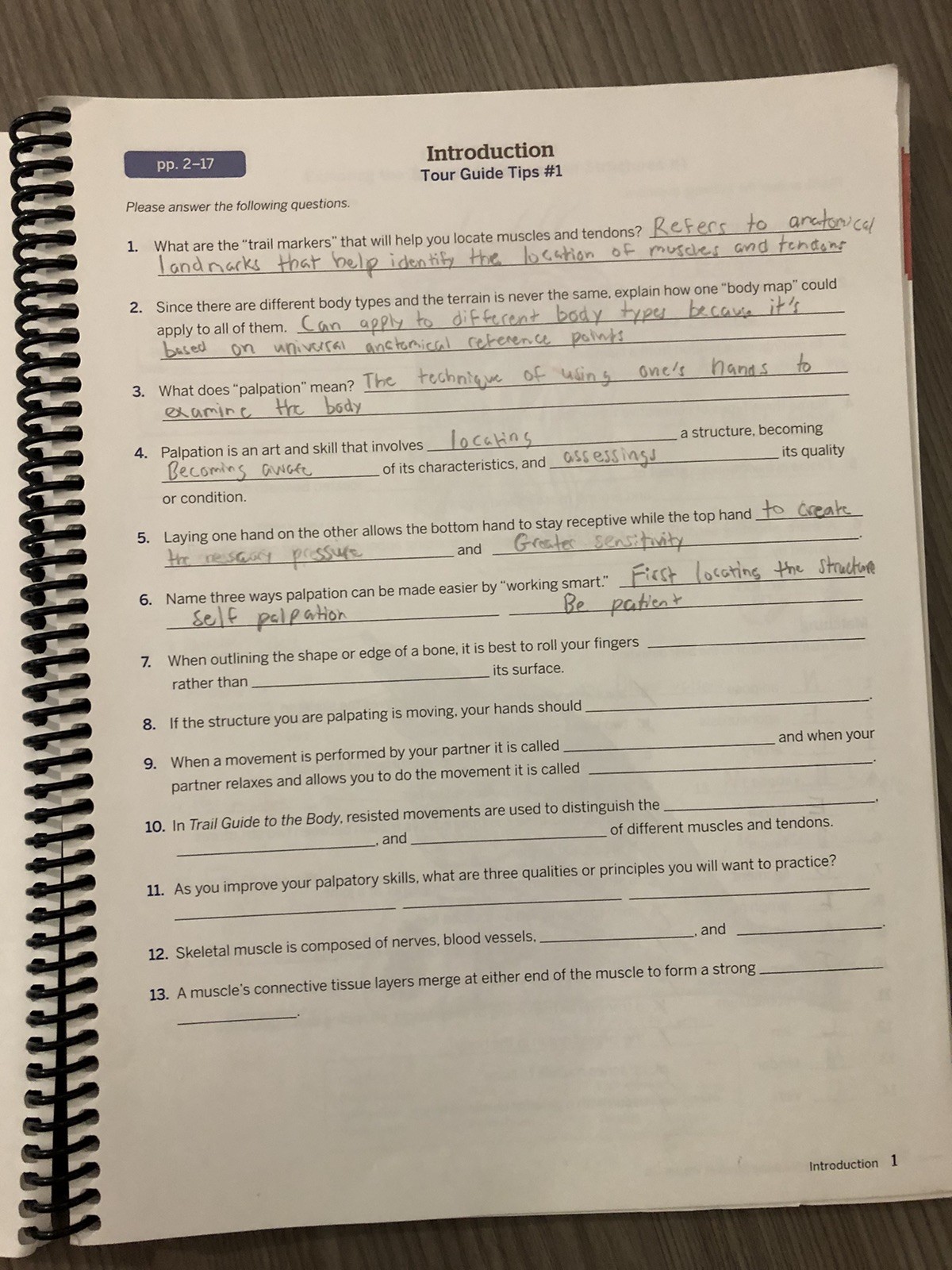 Student Workbook for Biel’s Trail Guide to the Body by Andrew Biel (2023, Trade