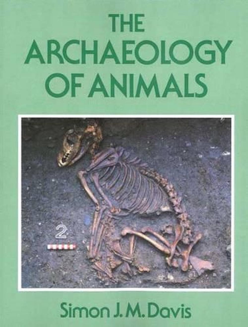 The Archaeology of Animals by Simon J.M Davis (English) Paperback Book