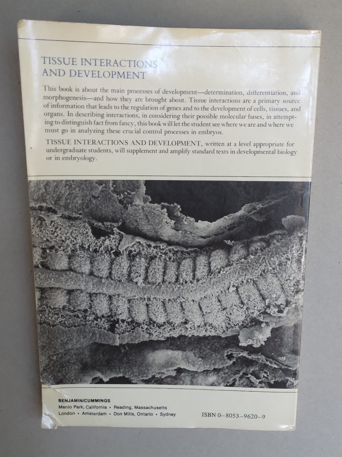 Tissue Interactions and Development–1977-Norman K. Wessells-276 pages-paperback