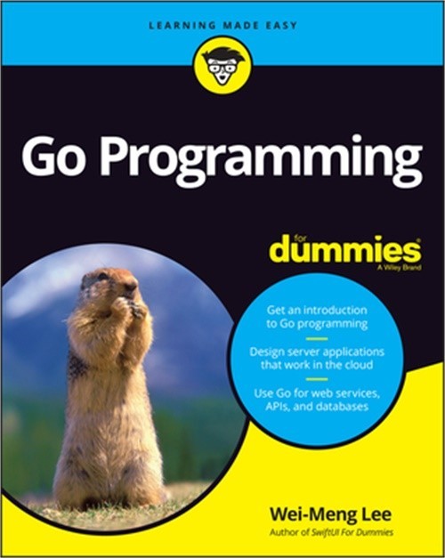 Go Programming Language for Dummies (Paperback or Softback)