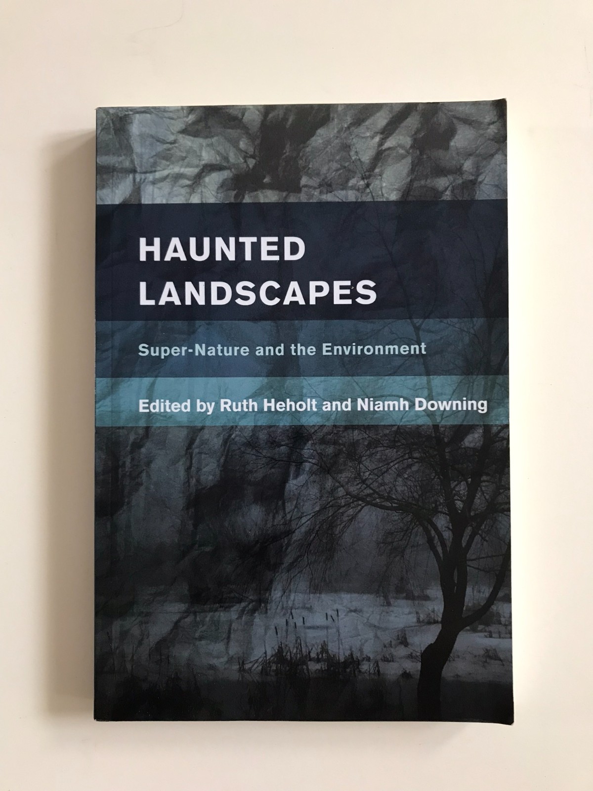 Haunted Landscapes : Super-Nature and the Environment. ed Heholt and Downing