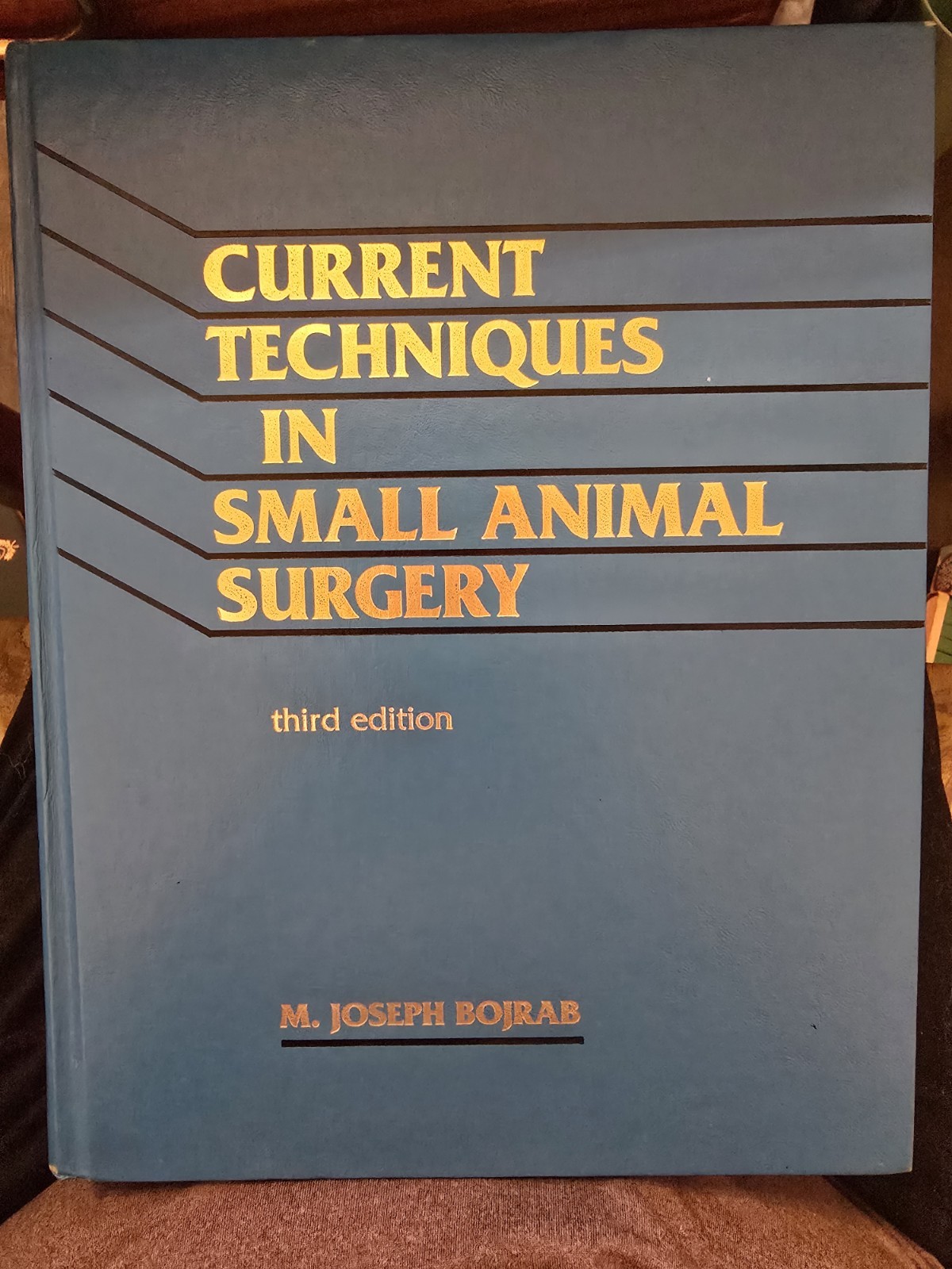 Current Techniques in Small Animal Surgery 3rd Edition Borjrab Great Illustratio