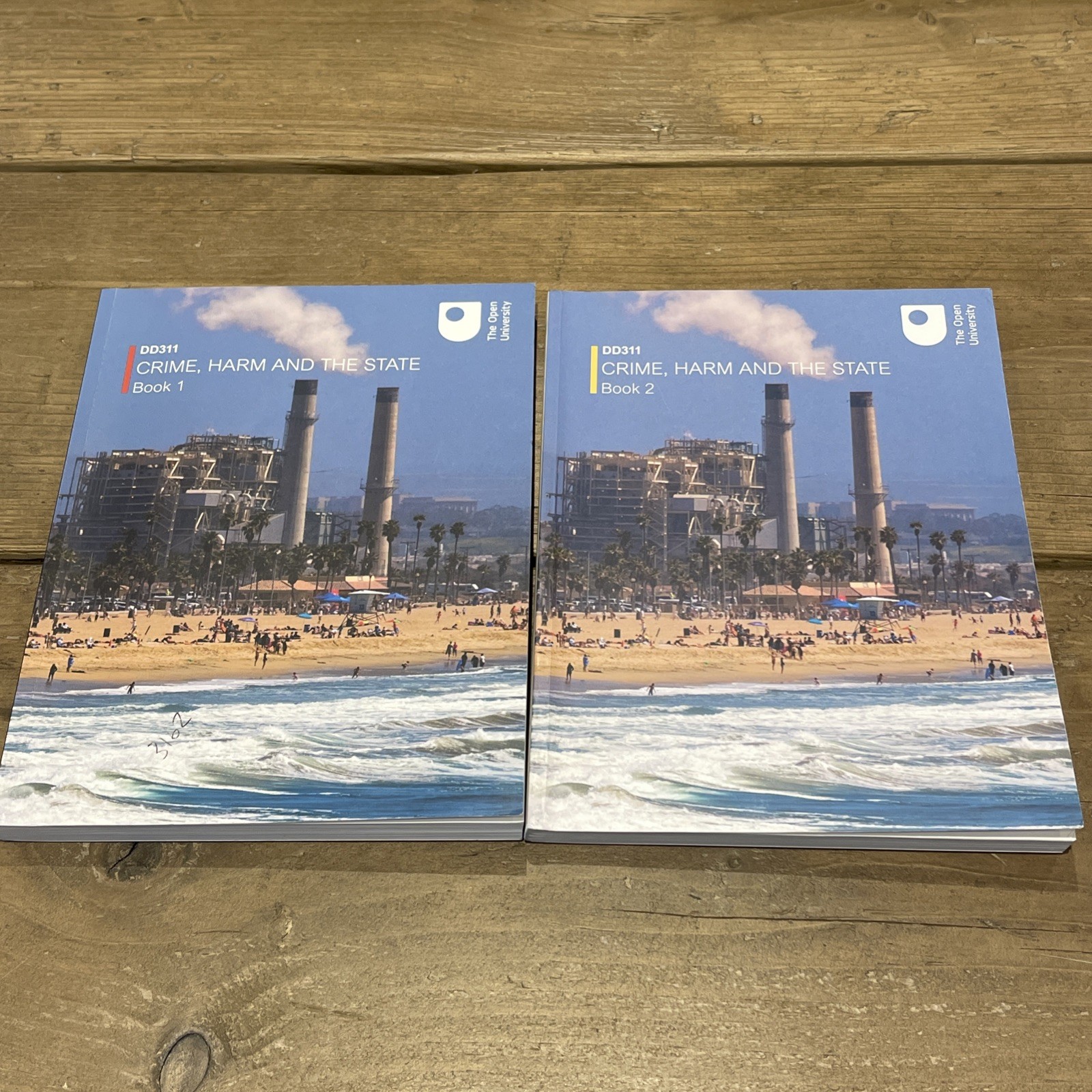 DD311 Crime, Harm And The State Book 1 & 2 , The Open University 2020