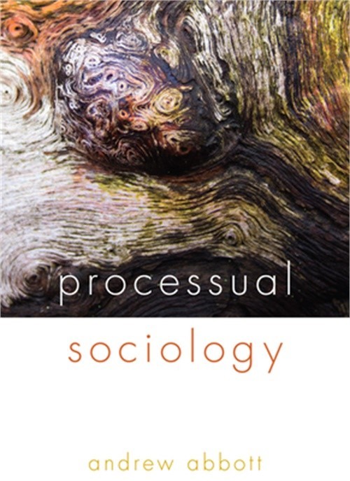 Processual Sociology (Paperback or Softback)