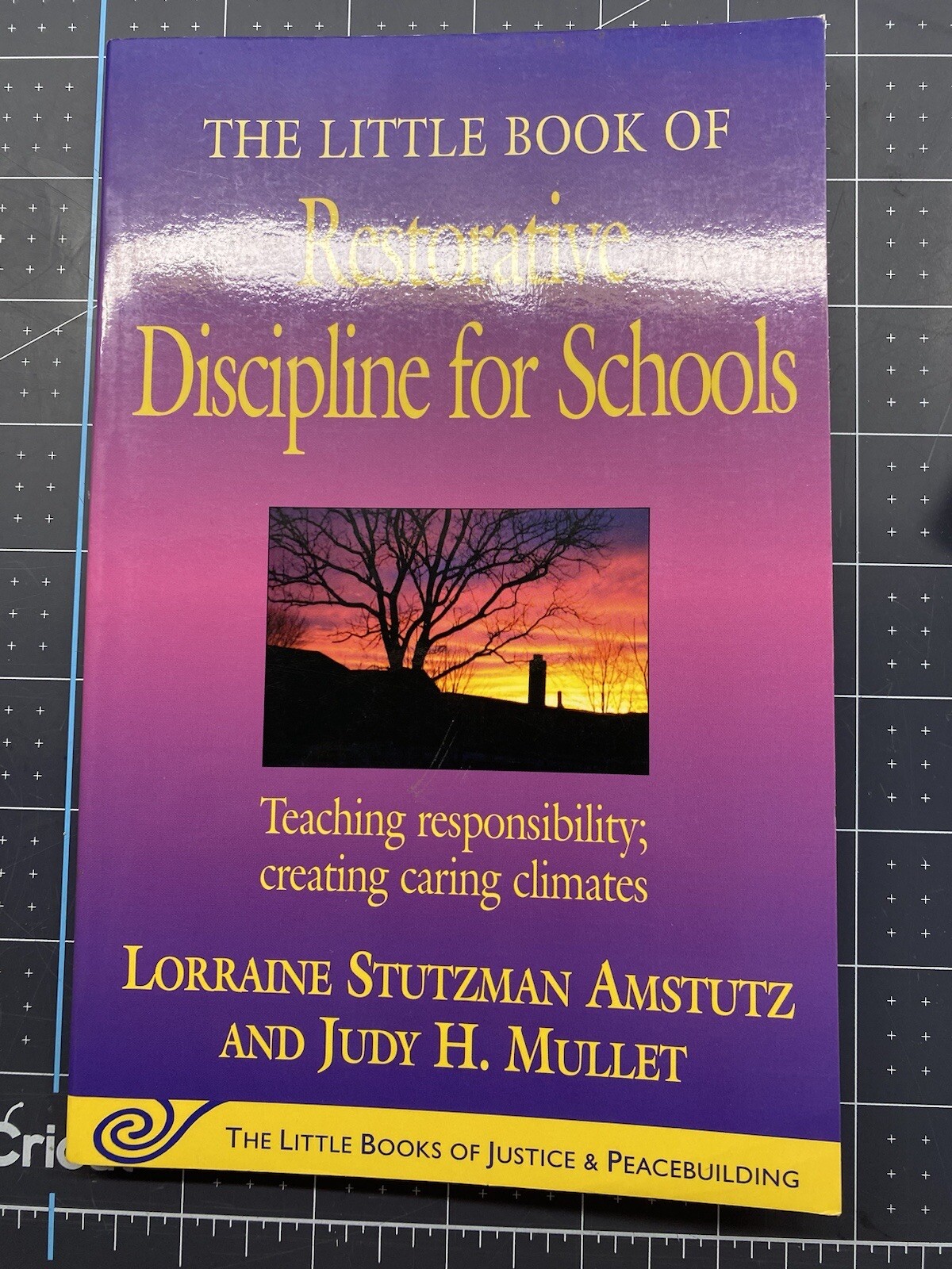 Teachers! Admins! BEHAVIOR~ difficult students & parents ~ lot of 6 books!