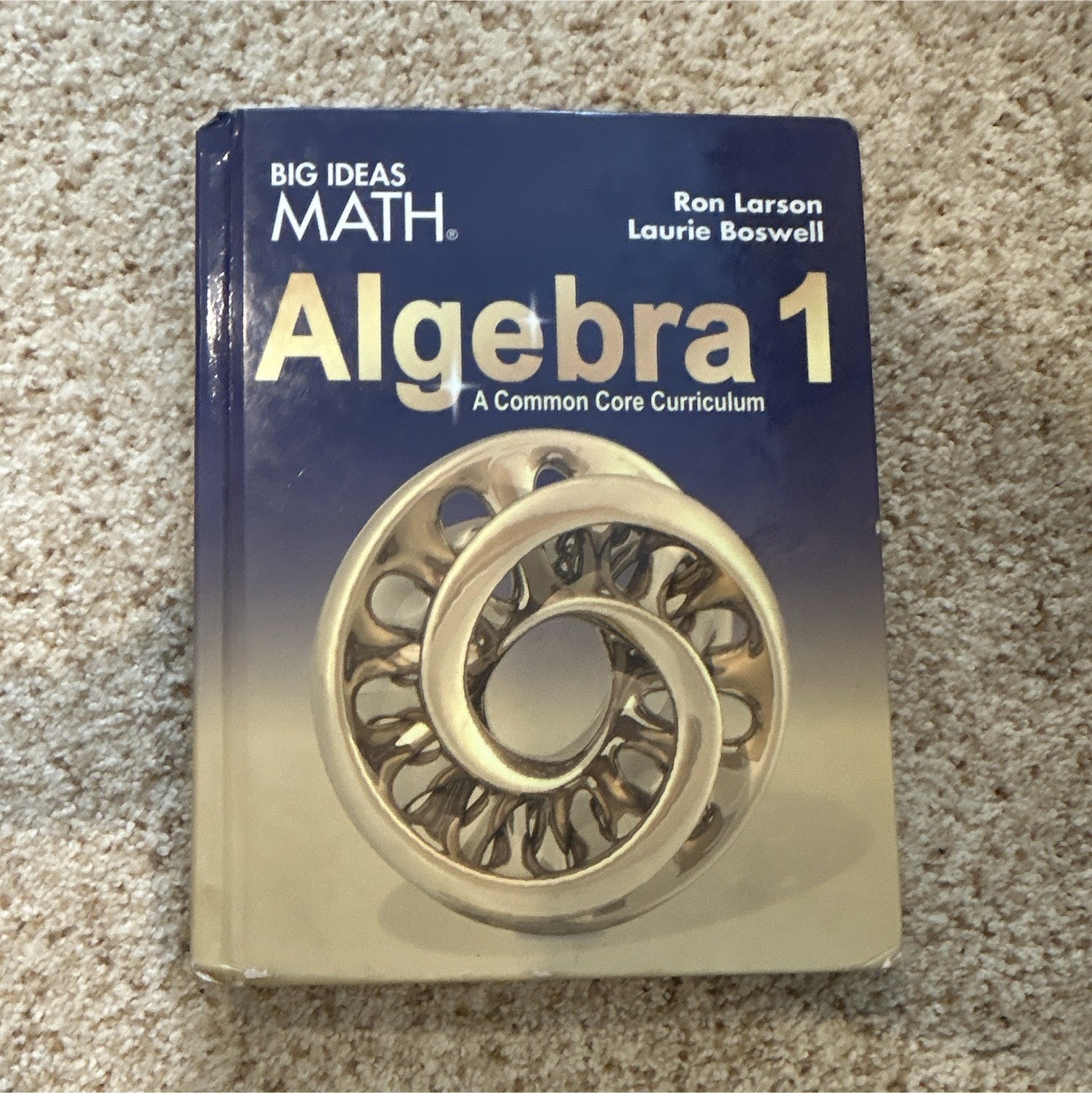 Big Ideas Math Algebra 1 Common Core Hardcover Ron Larson Boswell 2014 MPN