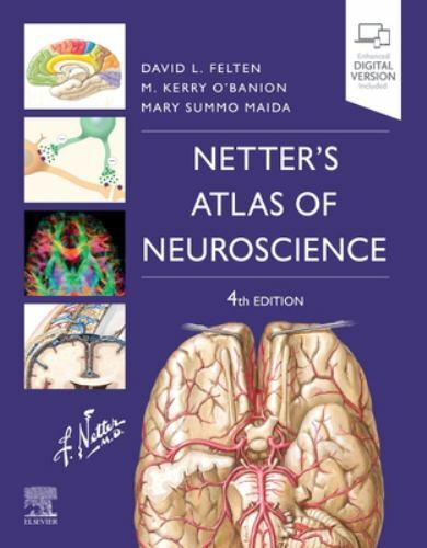 Netter’s Atlas of Neuroscience (Netter Basic Science) by Felten MD PhD, David