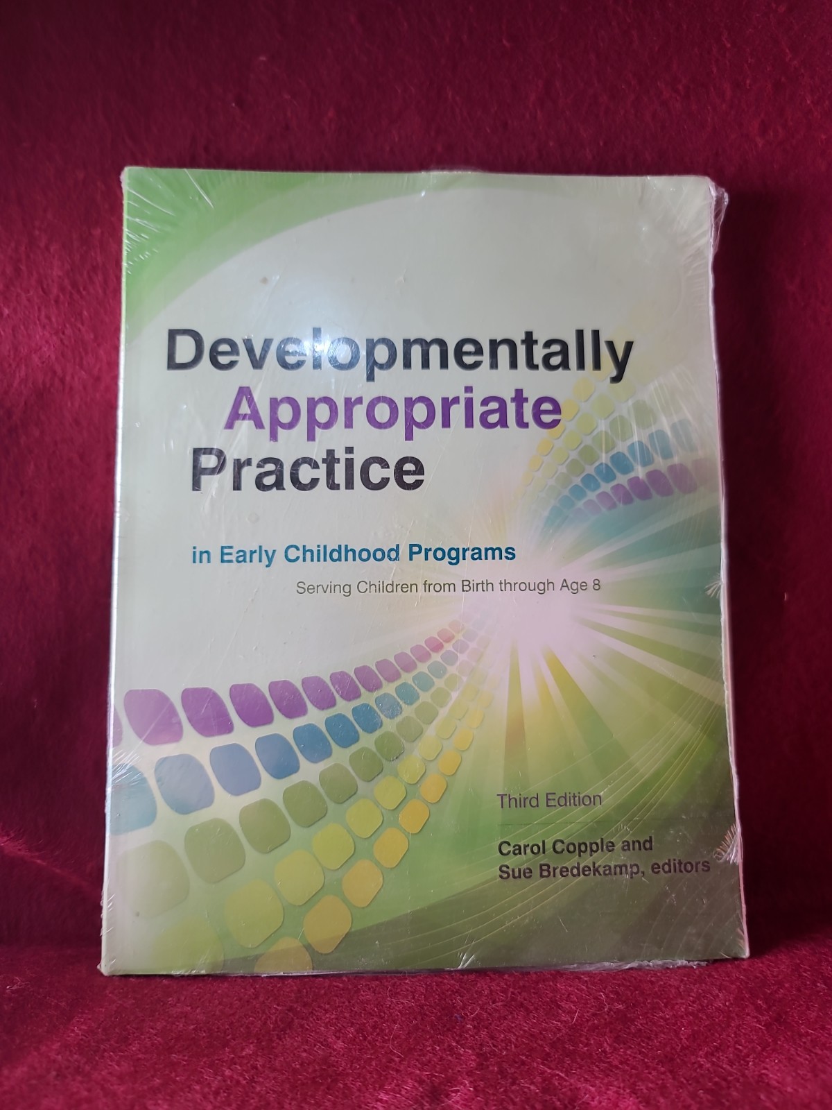 Developmentally Appropriate Practice in Early Childhood Program by Sue Bredekamp