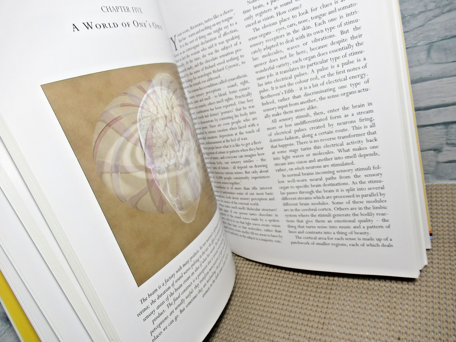 Mapping the Mind / Revised and Updated Edition/ 2010 / by Rita Carter