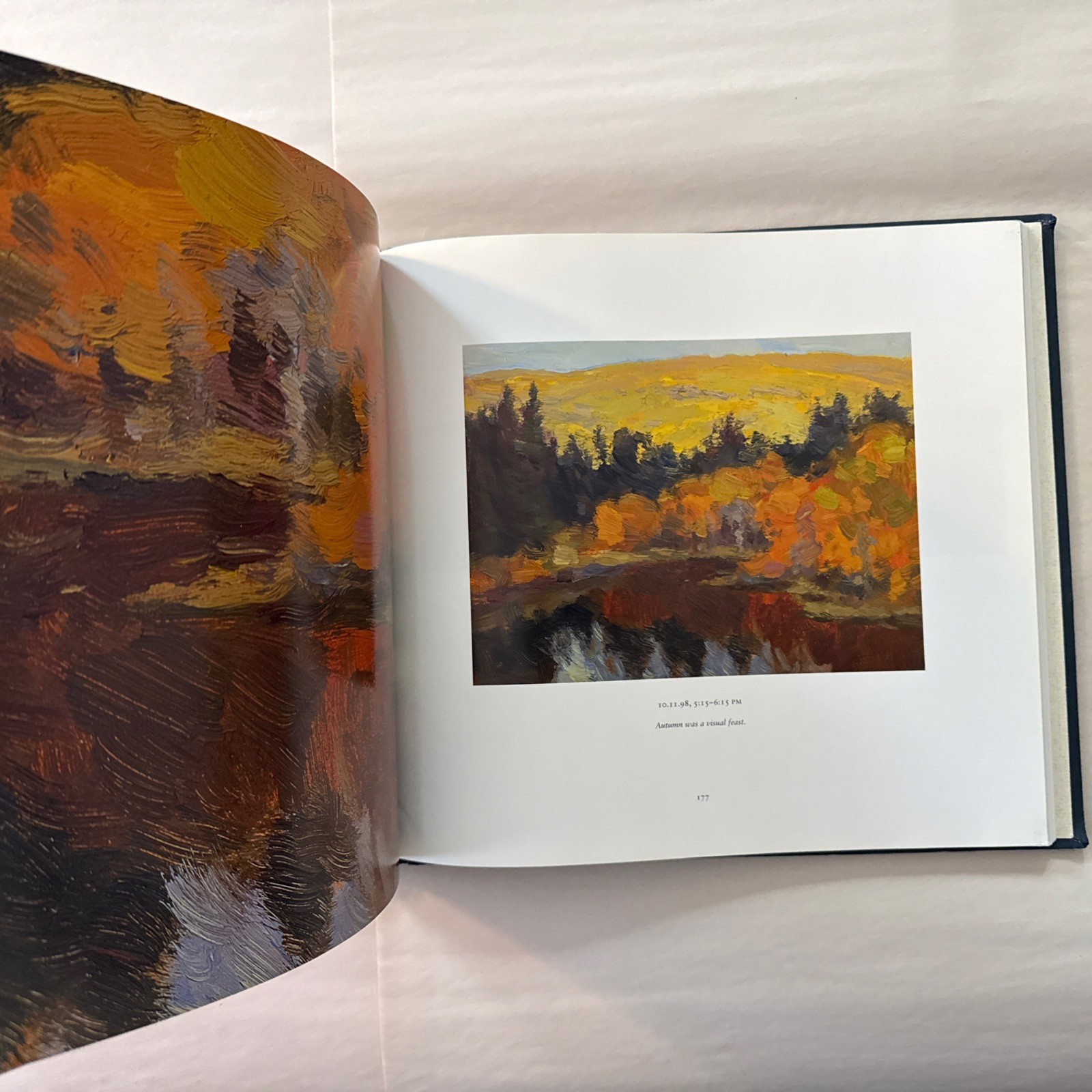Reflections on a Pond : A Visual Journal by Kevin Macpherson Hardcover – No DJ