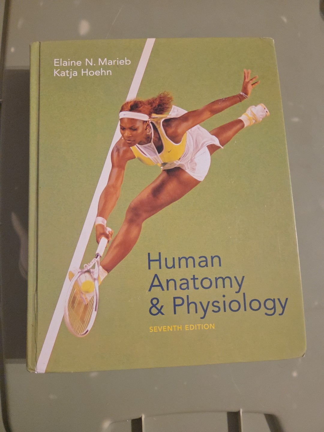My a and P Ser.: Human Anatomy and Physiology by Marieb and Hoehn ( Hardcover)