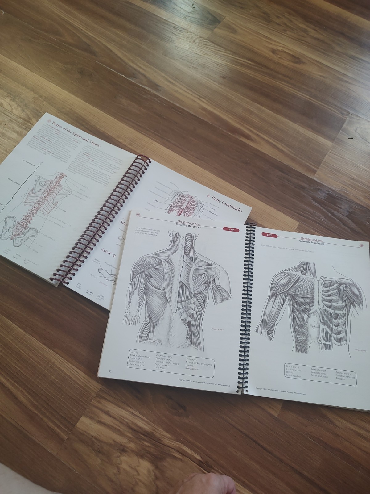 Bundle Lot Massage Therapy Training Guide Handbook Education Manuals Biel Barron