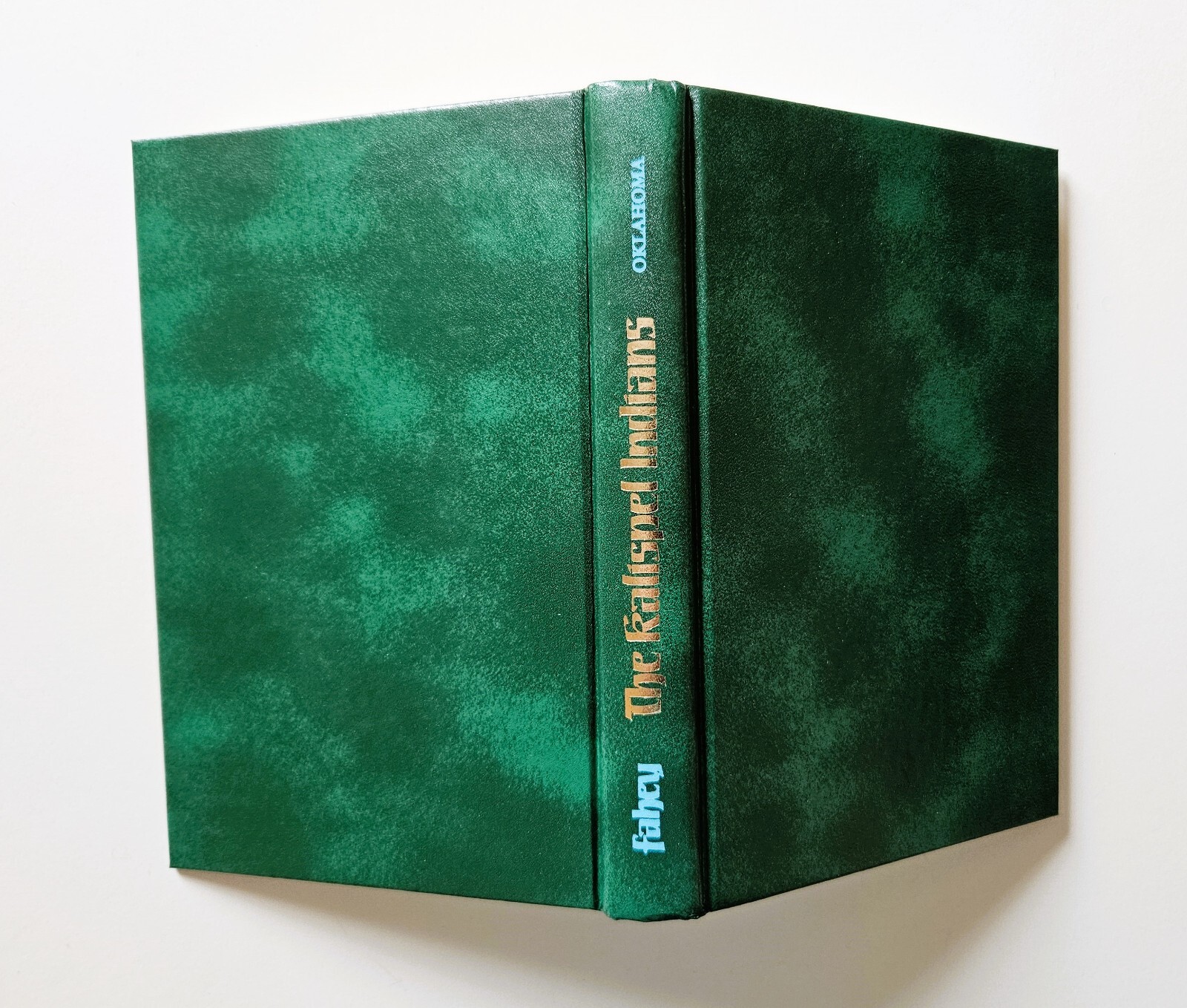 The Kalispel Indians by John Fahey (Hardback, 1986 First Ed) Very Good