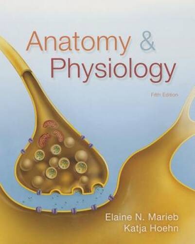Anatomy Physiology (5th Edition) – Hardcover By Marieb, Elaine N – ACCEPTABLE