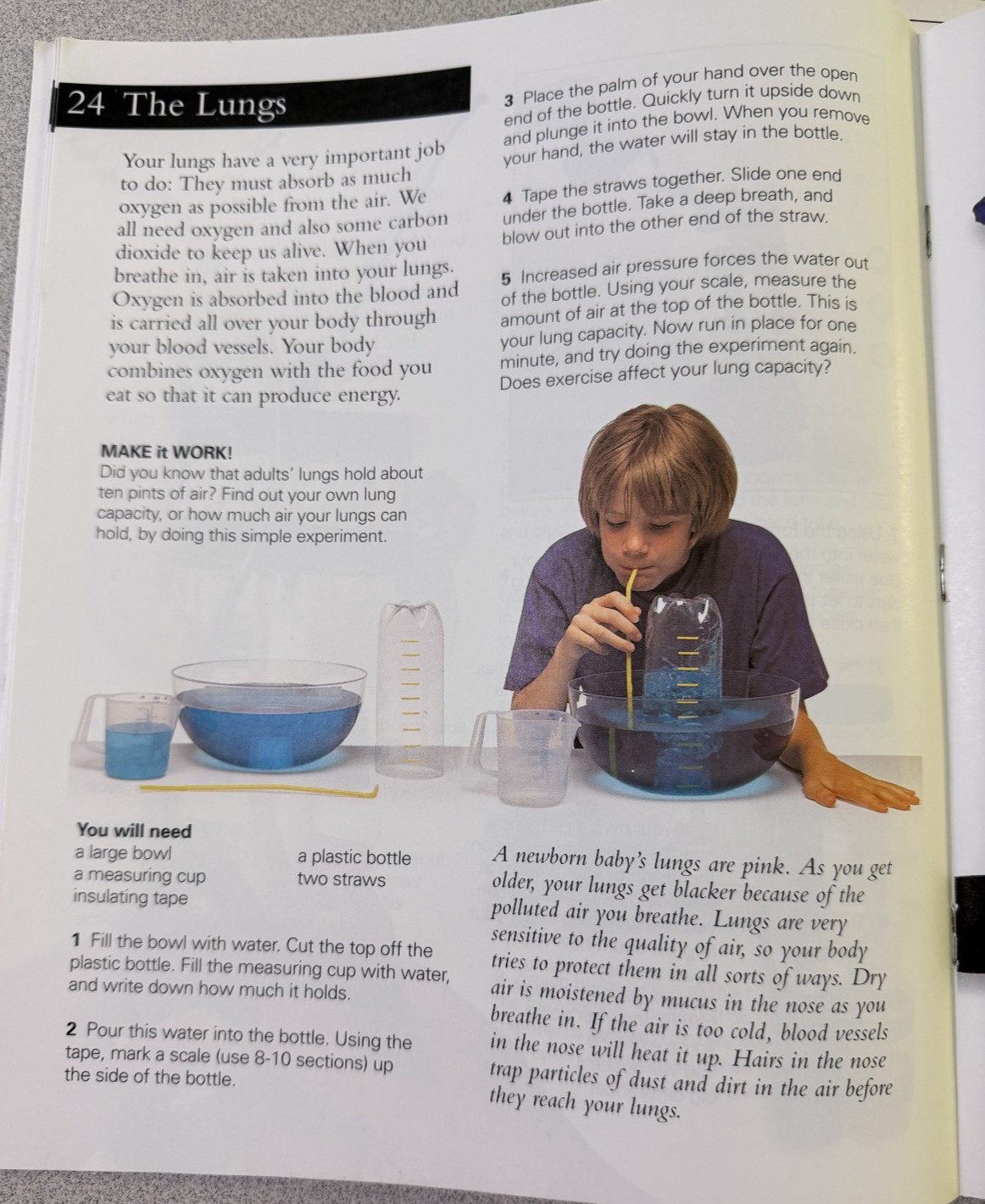 Human Body Teacher Resource, Grade 2-6, Hands-on Activities, Homeschool Science