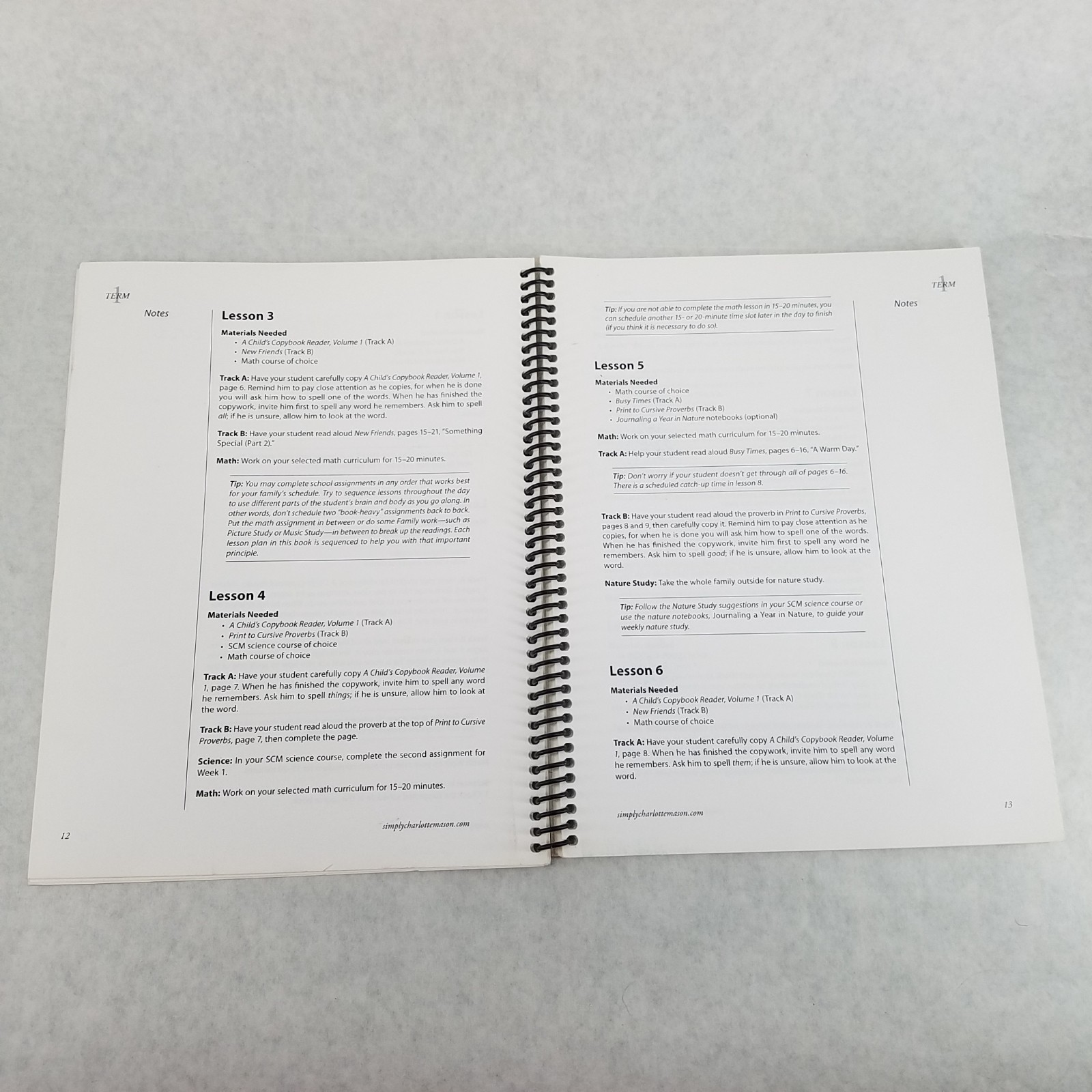 Individual Studies for Grade 2 – Simply Charlotte Mason by Sonya Shafer NO MARKS