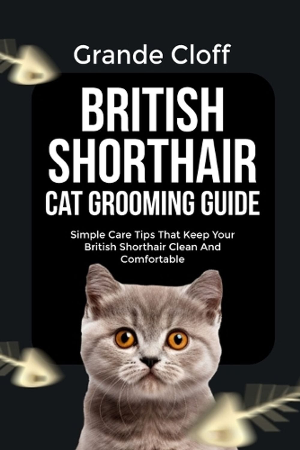 British Shorthair Cat Grooming Guide: Simple Care Tips That Keep Your British Sh