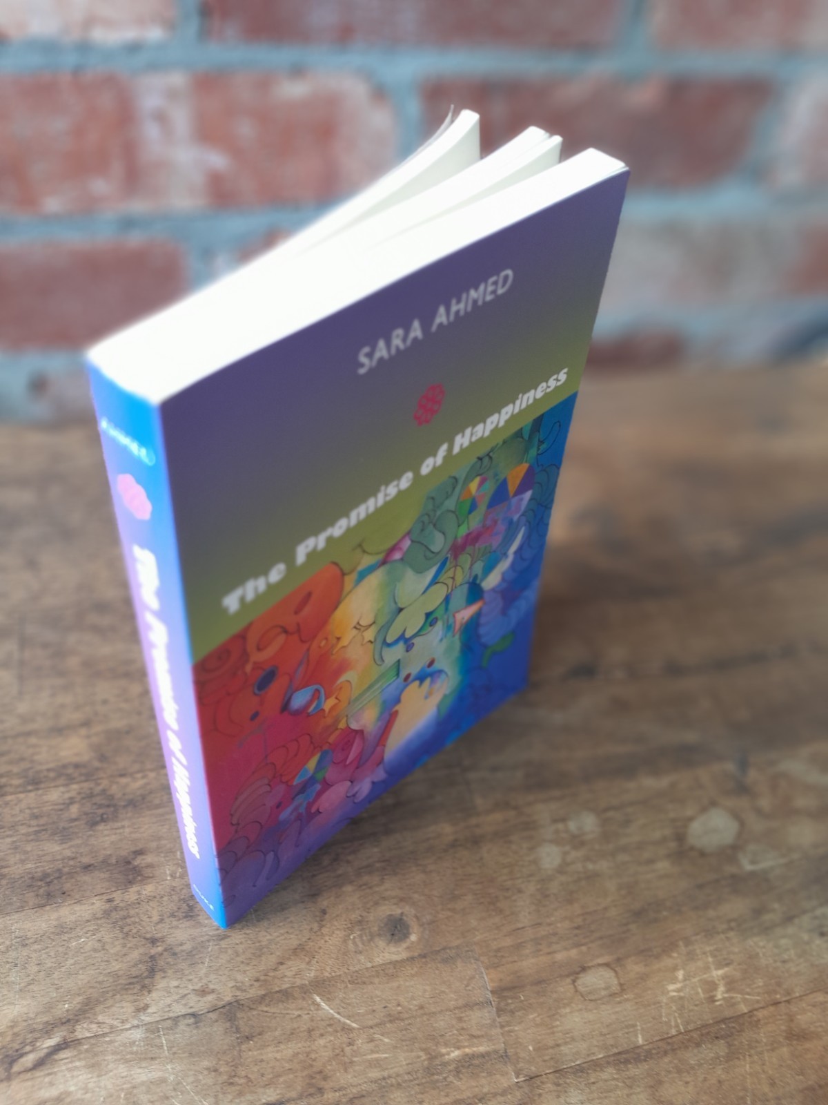 The Promise of Happiness by Sara Ahmed Paperback FREE SHIPPING