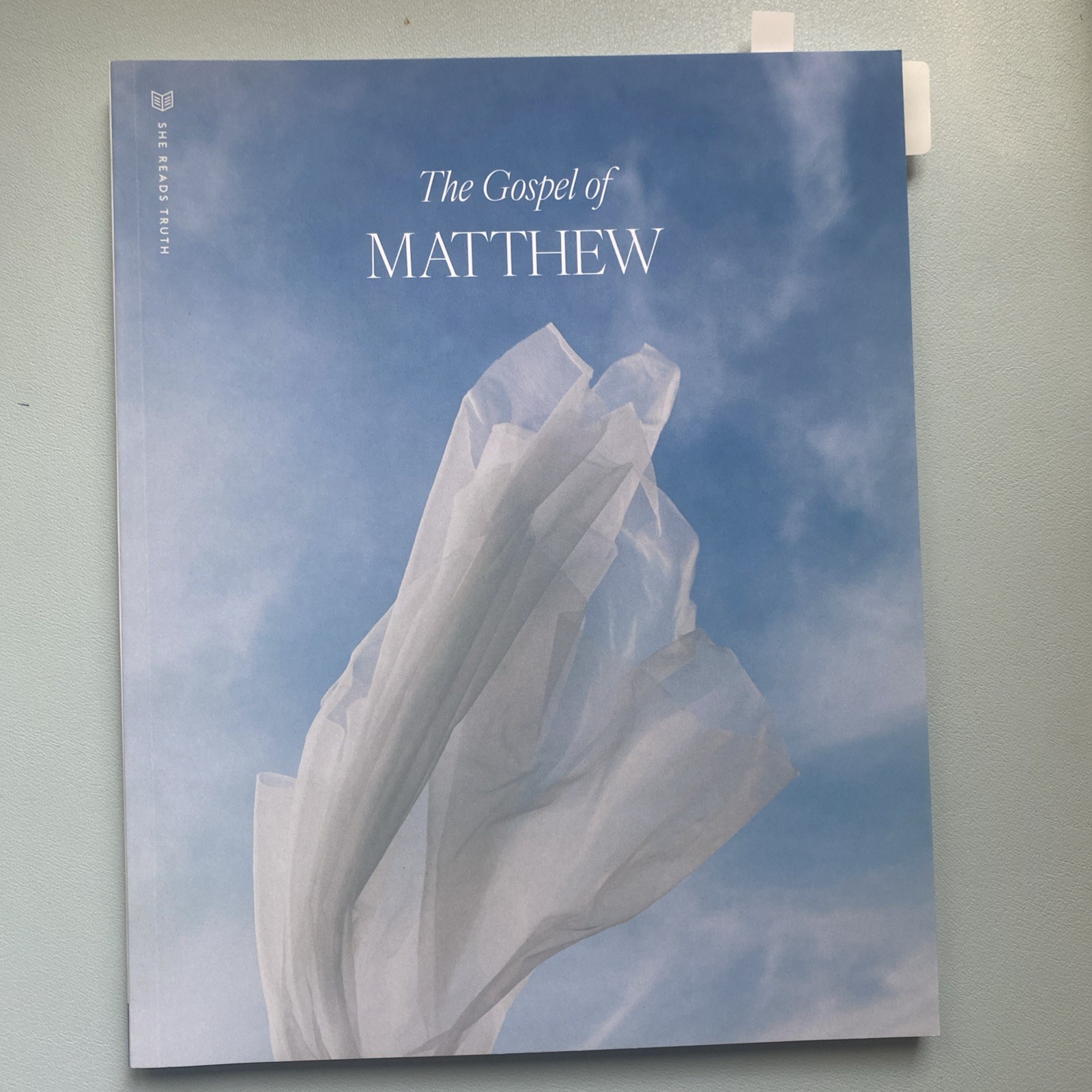 She Reads Truth The Gospel Of Mathew