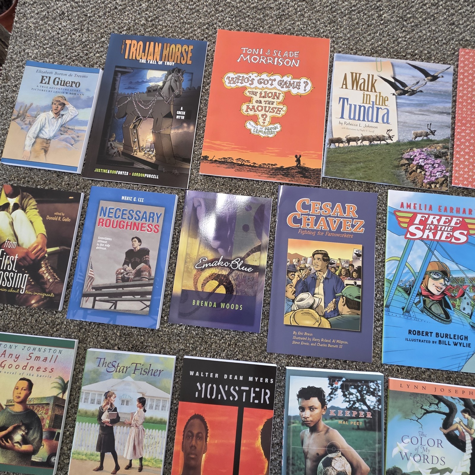 level 1-5 Reading Material Short Stories paperback books Lot Of 23 ( New )