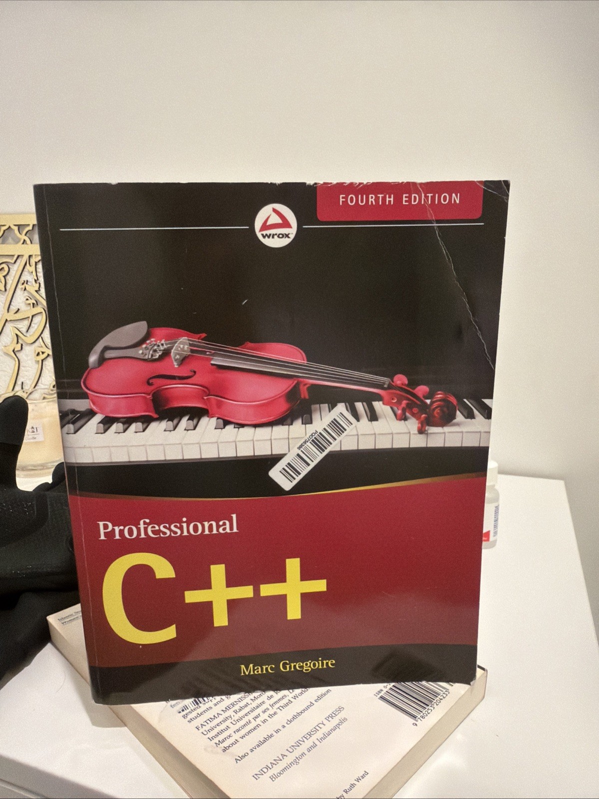 PROFESSIONAL C++ By Marc Gregoire *Excellent Condition*