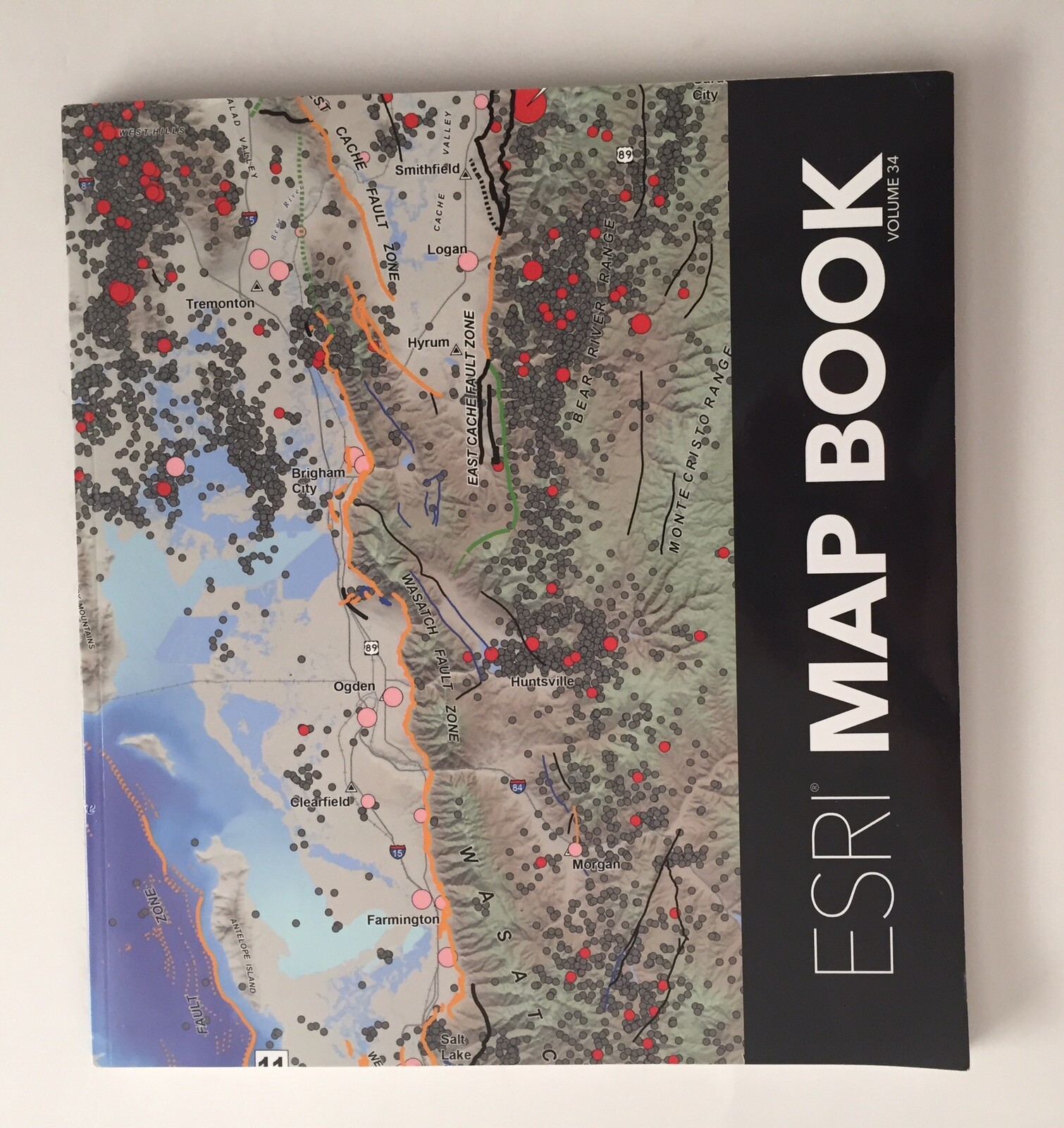 Esri Map Book Volume 34 by Linda Peters (English) Paperback Book – Fascinating!