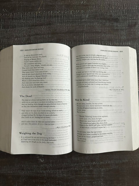 Perrine’s Literature: Structure, Sound & Sense 13th AP Edition Johnson Arp 2018