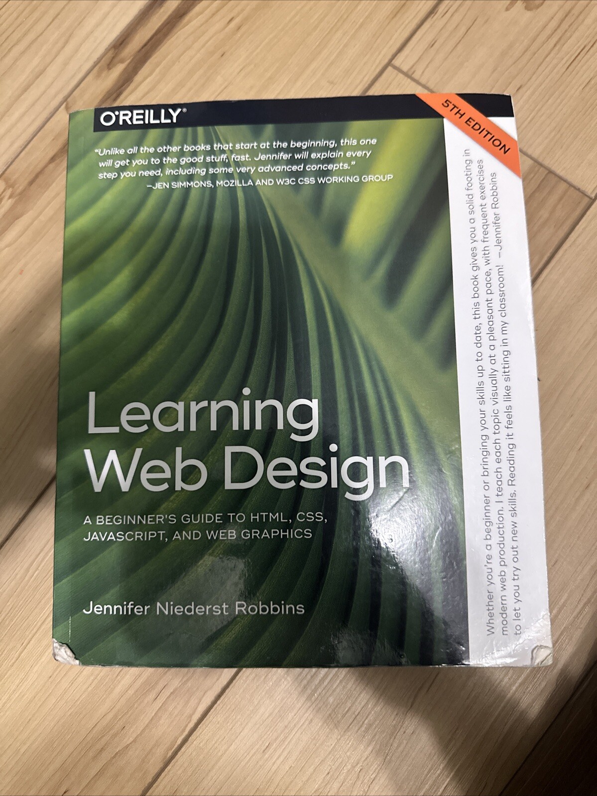 Learning Web Design : A Beginner’s Guide to HTML, CSS, JavaScript, and Web…