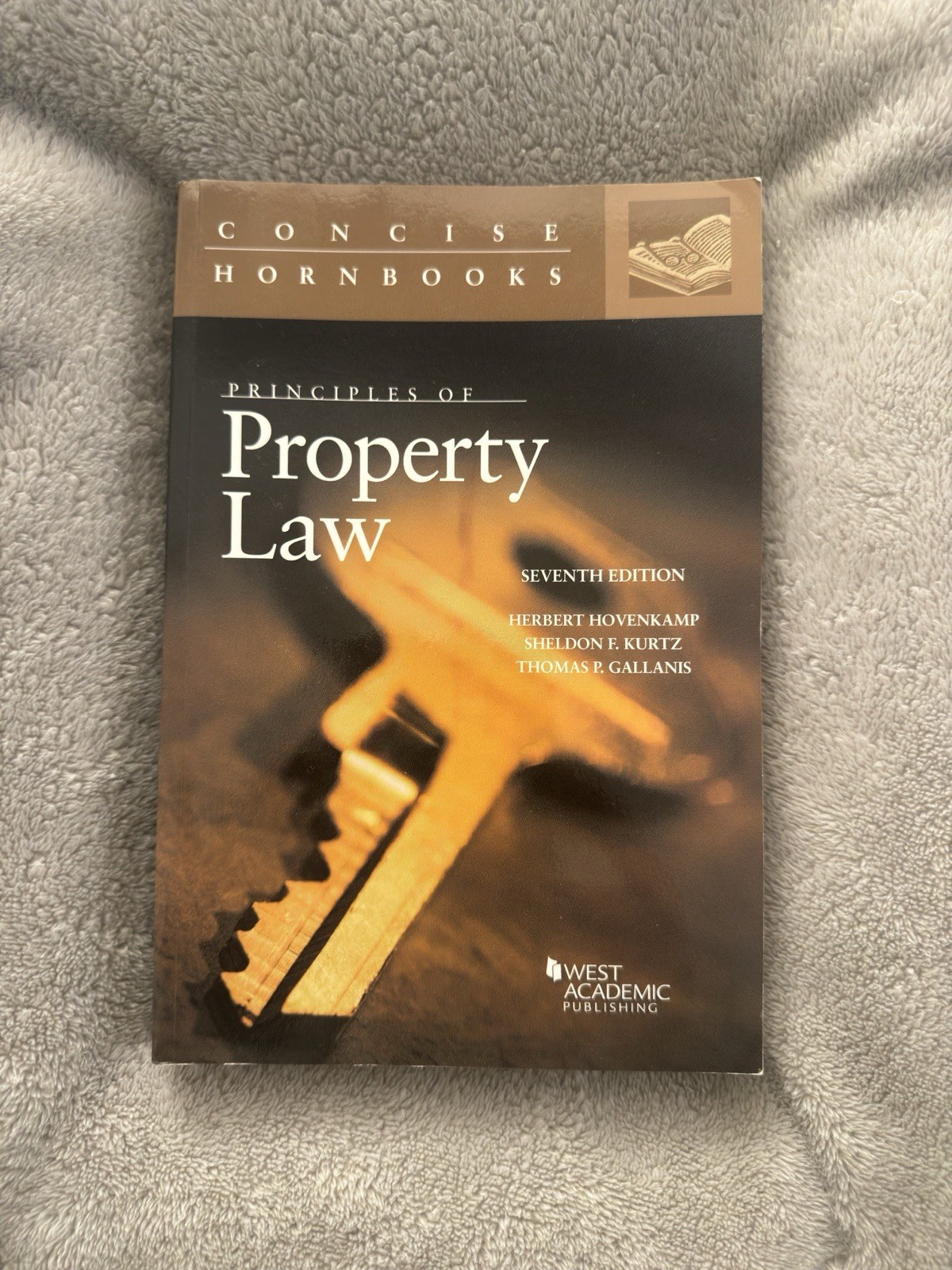 Principles of Property Law (Concise Hornbook Series) Hovenkamp, Herbert and