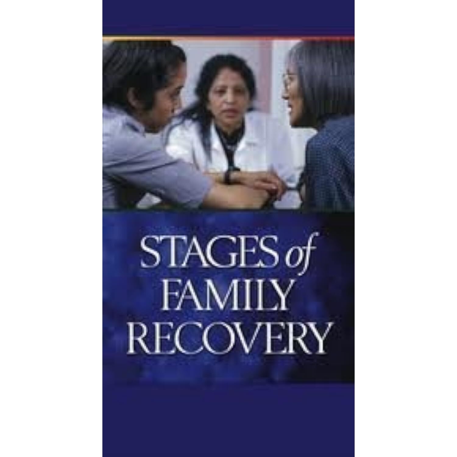 Stages of Family Recovery DVD [DVD]