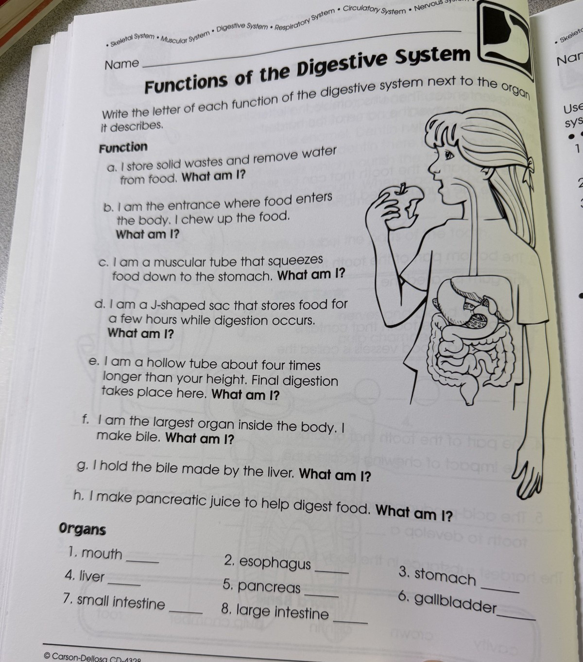Human Body Teacher Resource, Grade 2-6, Hands-on Activities, Homeschool Science
