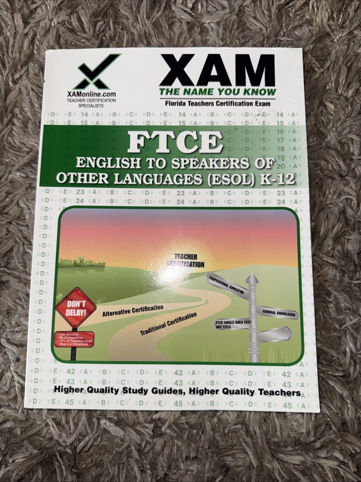 FTCE ESOL K-12 Teacher Certification Exam Guide Study Prep Book XAMOnline
