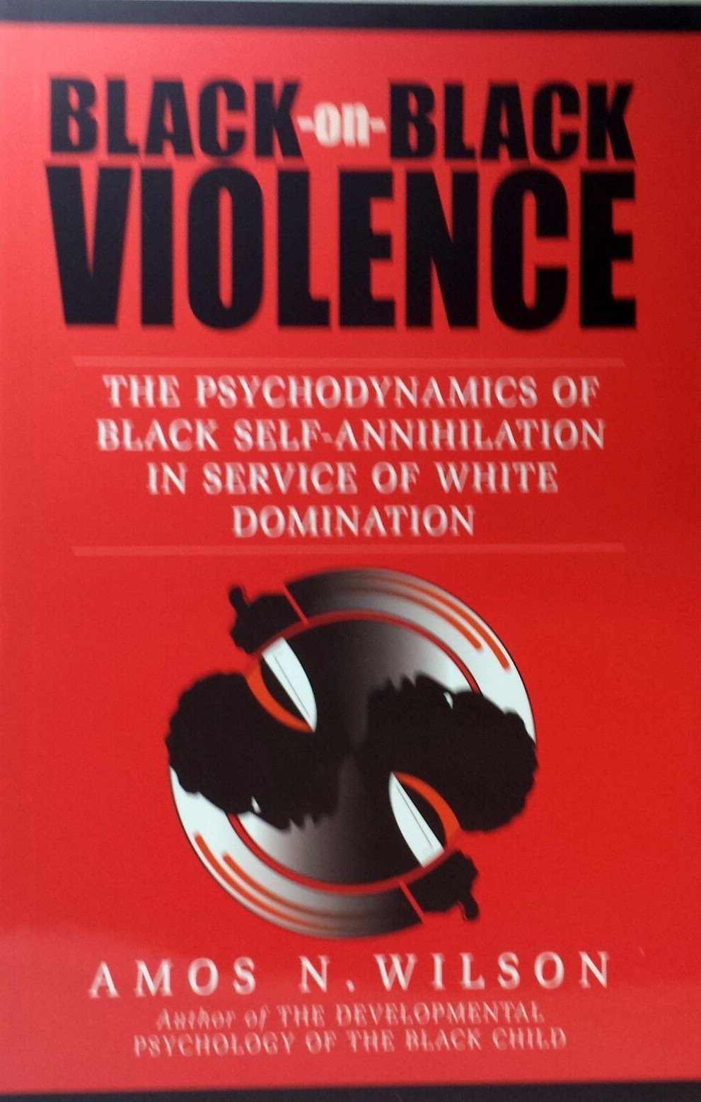 Black-on-Black violence by Amos Wilson