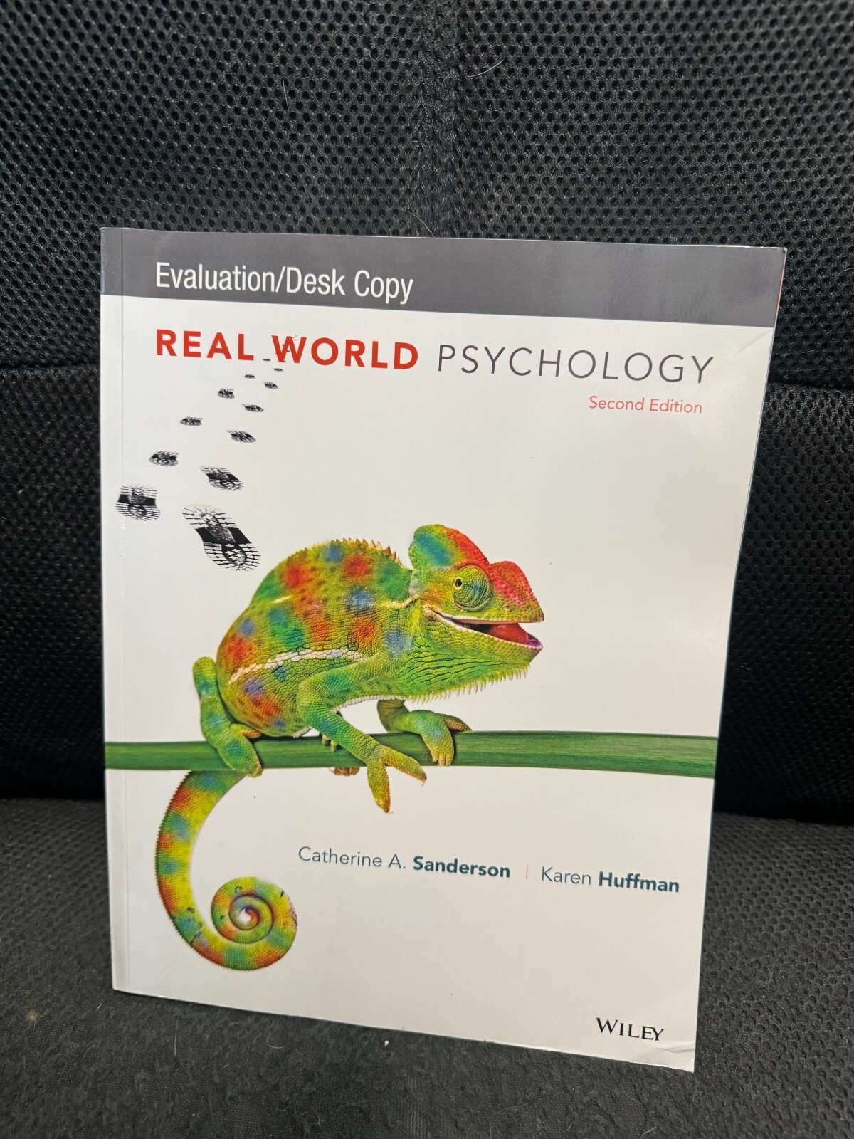 Real World Psychology – Paperback By Sanderson, Catherine Evaluation/Desk Copy