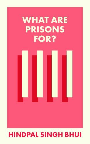 What Are Prisons For?: Themes and perspectives for policy and practice (What Is